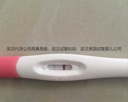 武汉代孕公司是真是假，武汉试管机构：武汉美国试管婴儿公司