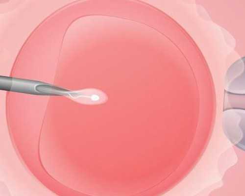 试管婴儿当中移植哪种胚胎好？