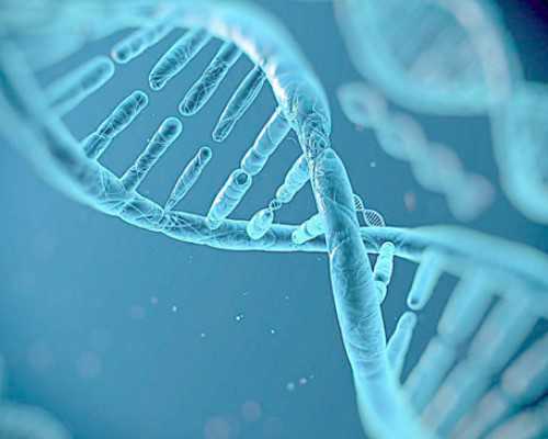 妇科疾病：阴道炎的种类与治疗