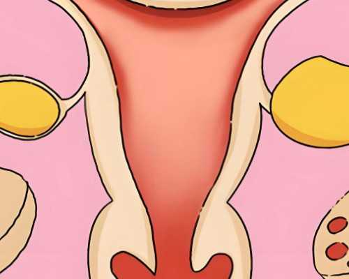 
              襄阳中医医院做试管婴儿前期体检费用要准备多少？
            