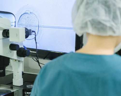 高潮影响受精卵着床吗