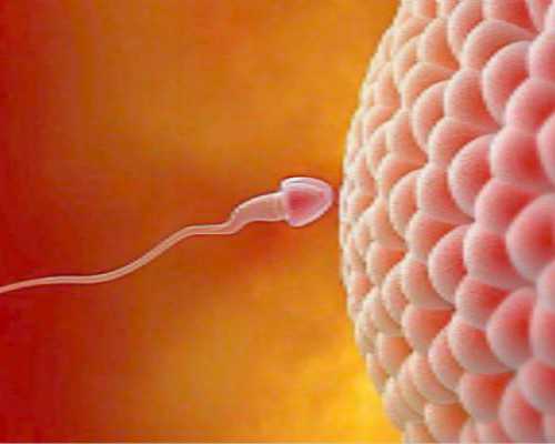 黄冈浠水县可以试管婴儿吗