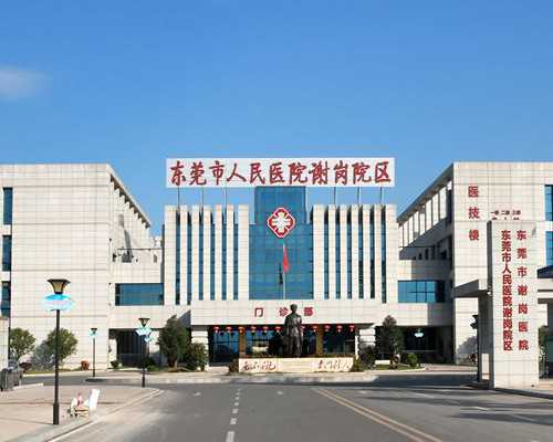 胚胎染色体异常：揭示因及其影响