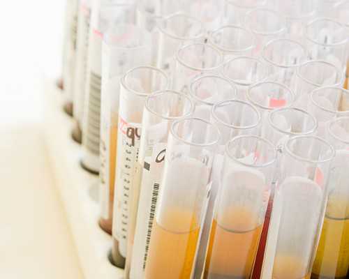 国外可以供卵吗_ivf试管代孕婴儿,海狗丸治疗少精吗？