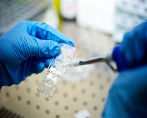 襄阳试管婴儿条件好的医院排名在这(襄阳试管成功率排名)