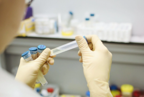 豆浆，男性备孕的新助力，效果揭秘