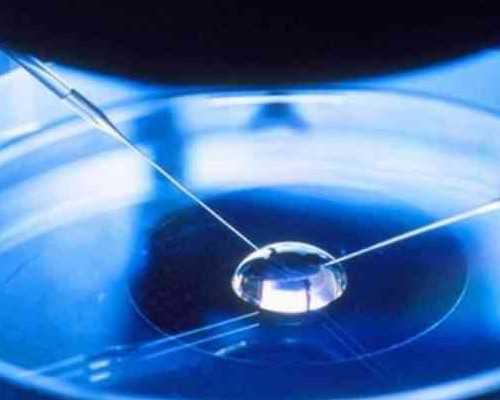 孕5周孕囊着床会出血