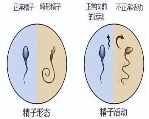 武汉助孕生了双胞胎公司有补贴吗多少钱