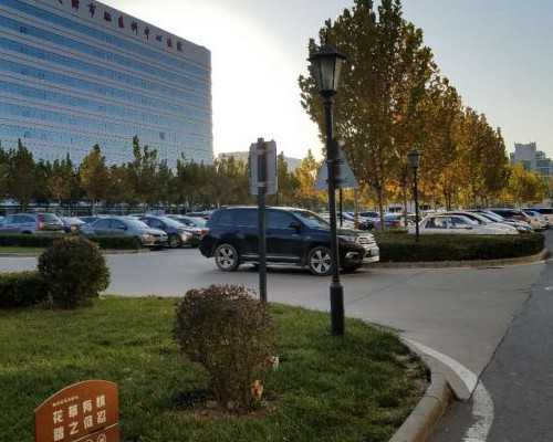 宝宝开荤吃猪肚什么寓意？开荤吃猪肚的寓意