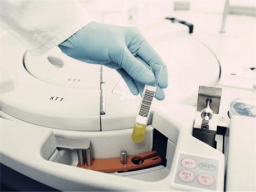 智力与脑勺扁平：是智商的晴雨表，还是只是一个无关紧要的特征？