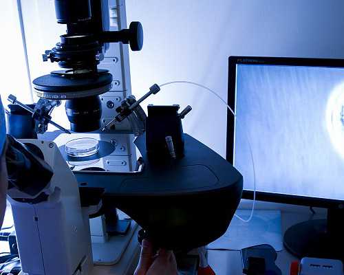 子宫肌瘤的预防和治疗:了解其症状和治疗方法