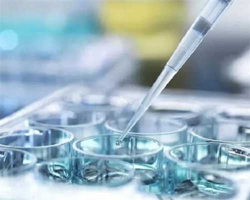 监测排卵的时间间隔