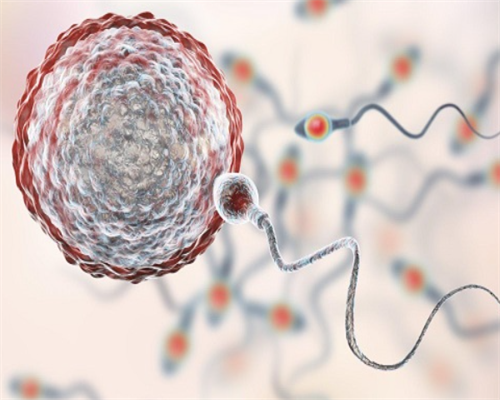 代孕机构包成功,没有结婚证的单身未婚女性在国外买精子做试管费用要多少钱