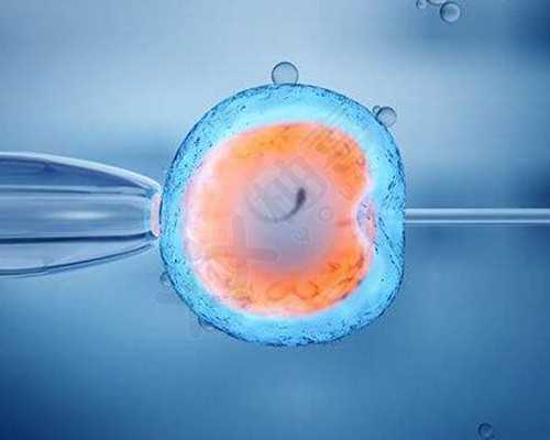 试管婴儿移植成功有哪些表现呢?