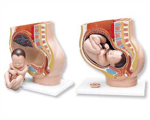 代孕熬夜对胎儿有影响吗