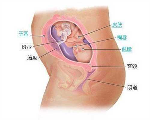 代怀孕开出生证明_宫颈糜烂的预防方法有哪些