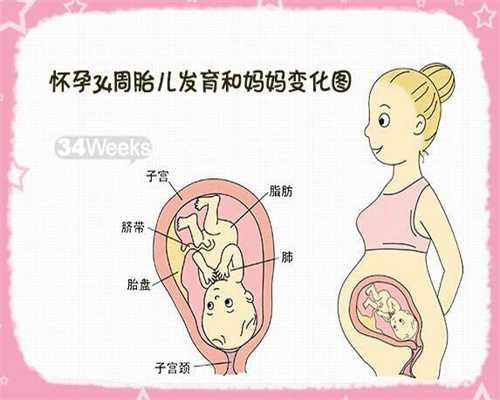 上海代孕费用_上海医院可以代孕_上海50万能找到