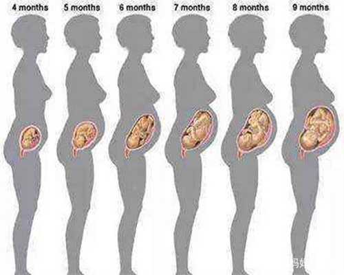 孕三十六周营养与饮食