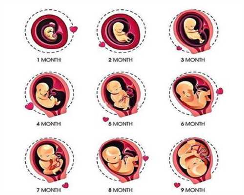 烟台代怀孕产子公司_卵巢功能障碍代表输卵管不通